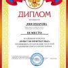 Наши достижение за 2020