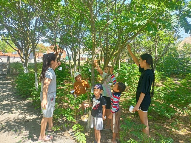 foto 2025 07 25 09 39 001
