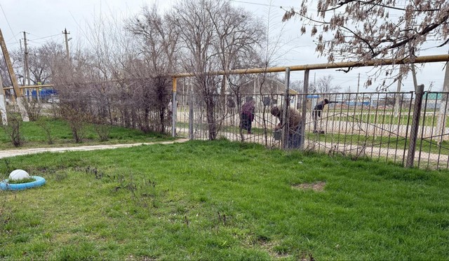 foto 2025 04 01 10 06 4